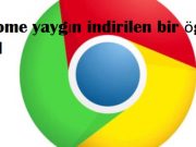 Chrome yaygın indirilen bir öge değil