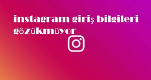 instagram giriş bilgileri gözükmüyor