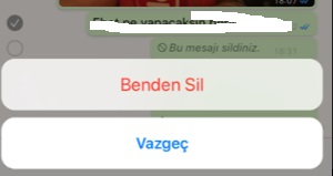 Whatsapp mesajlarım kendi kendine siliniyor, whatsapp yazışmalar silindi, whatsapp mesaj silinir mi, whatsapp mesaj kendiliğinden siliniyor, whatsapp gönderilen mesaj siliniyor, whatsapp yazışmalar kendiliğinden silinir mi