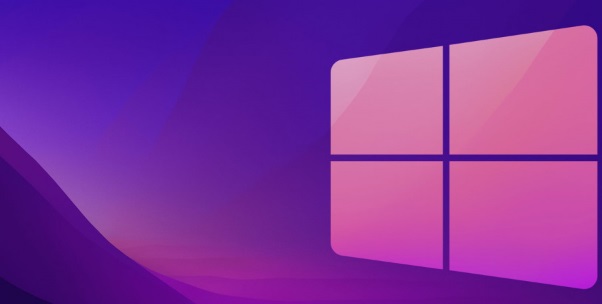Windows 11 profil resmi